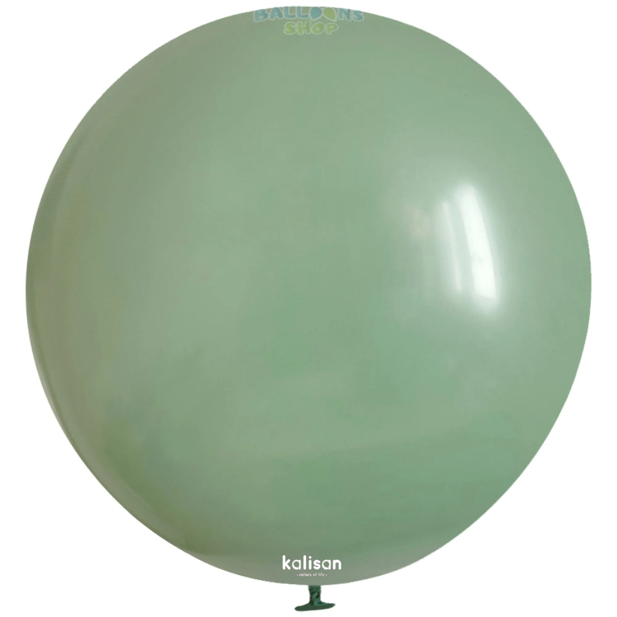 8006 Sage Green