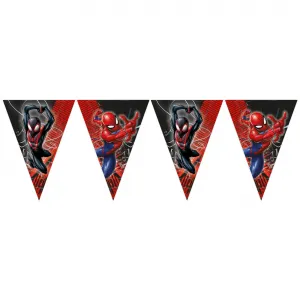 Banner Petrecere Stegulete Spiderman World of Web