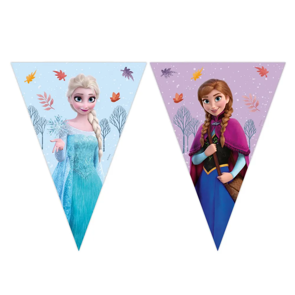 Banner Petrecere Stegulete Frozen Idyllic Wonder