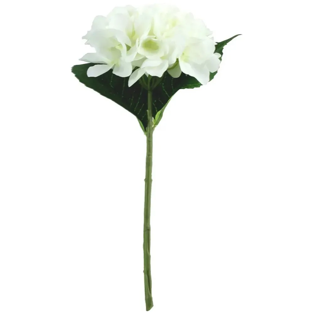Fir Hortensie Ivory 34cm