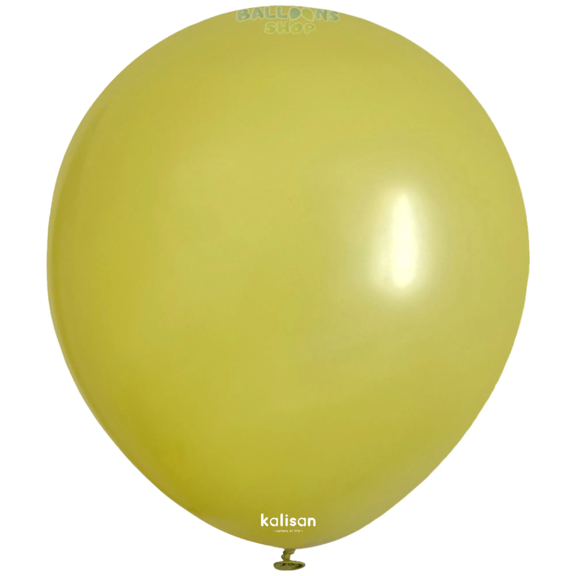 8009 Olive