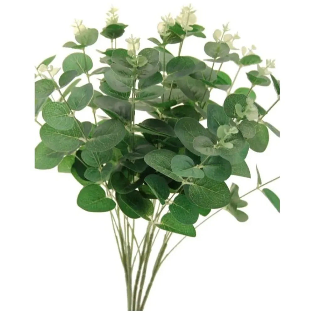 Fir Eucalypt 5 Crengute 47cm