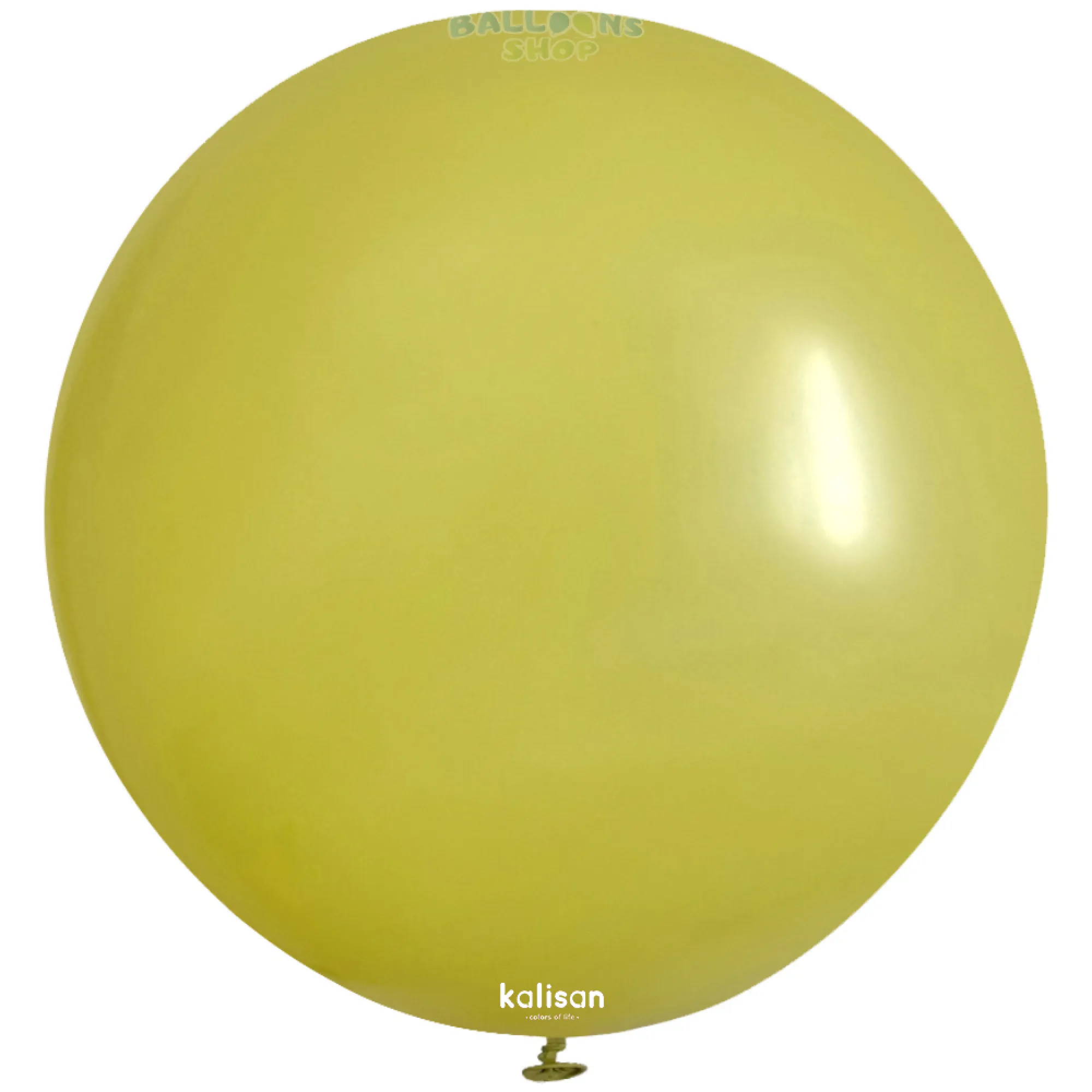 8009 Olive