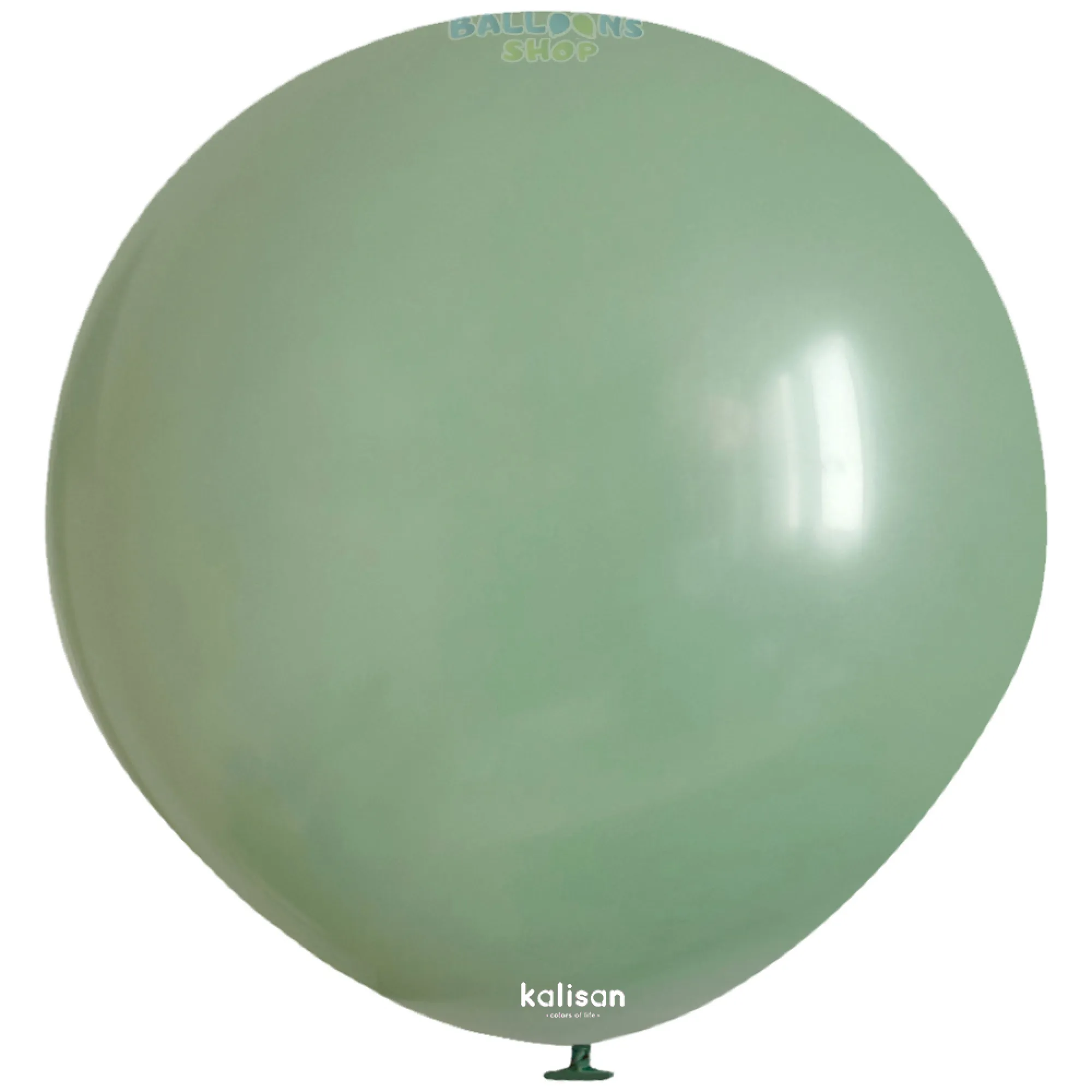 8006 Sage Green