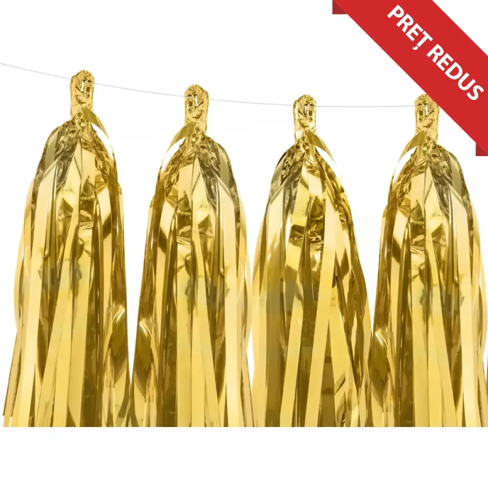 Ghirlanda Decorativa Aurie 12 tassels/2m PDC1034