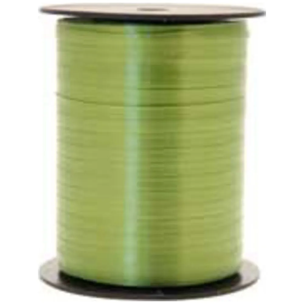 Rafie VERDE MUSCHI 5mm x 500M RI5423