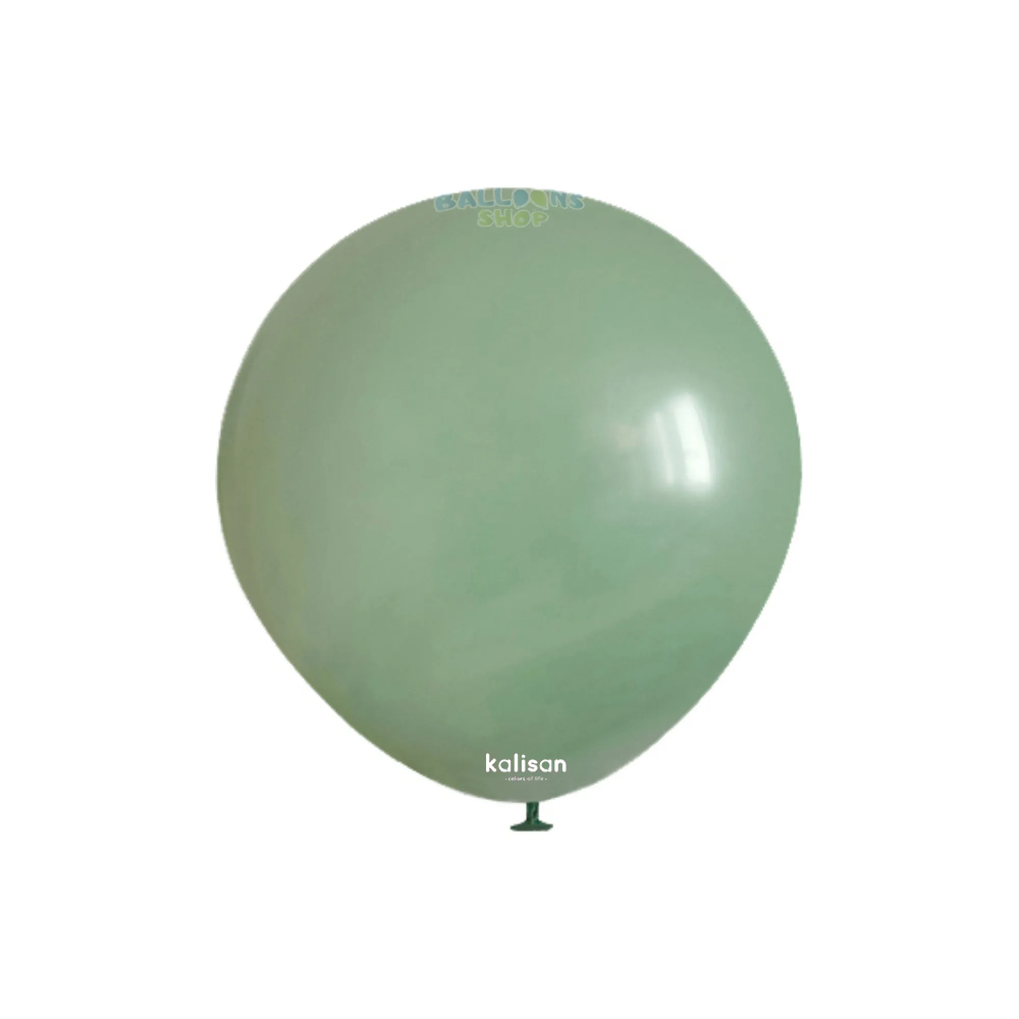 8006 Sage Green