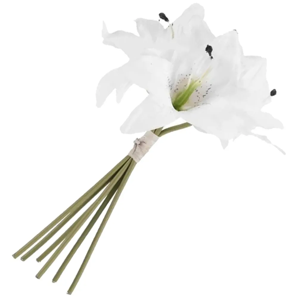 Buchet 6 Crini Albi 30cm