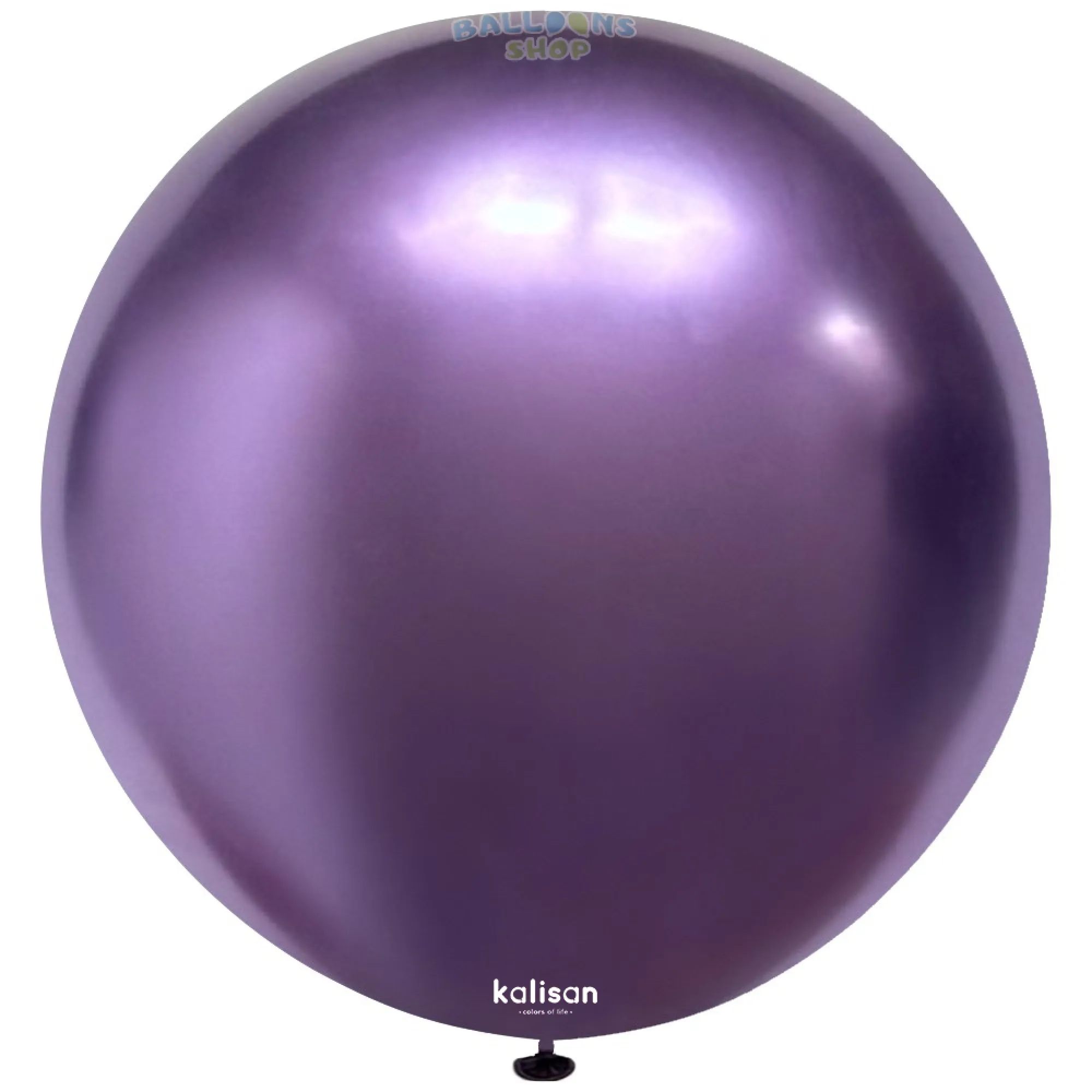 5004 Violet