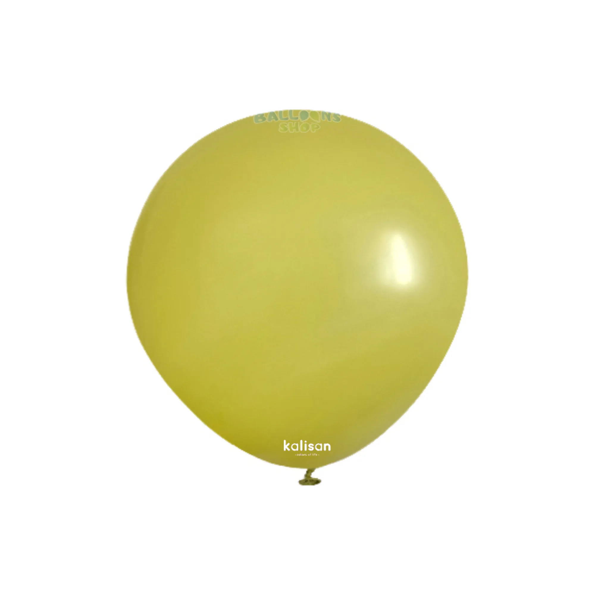 8009 Olive