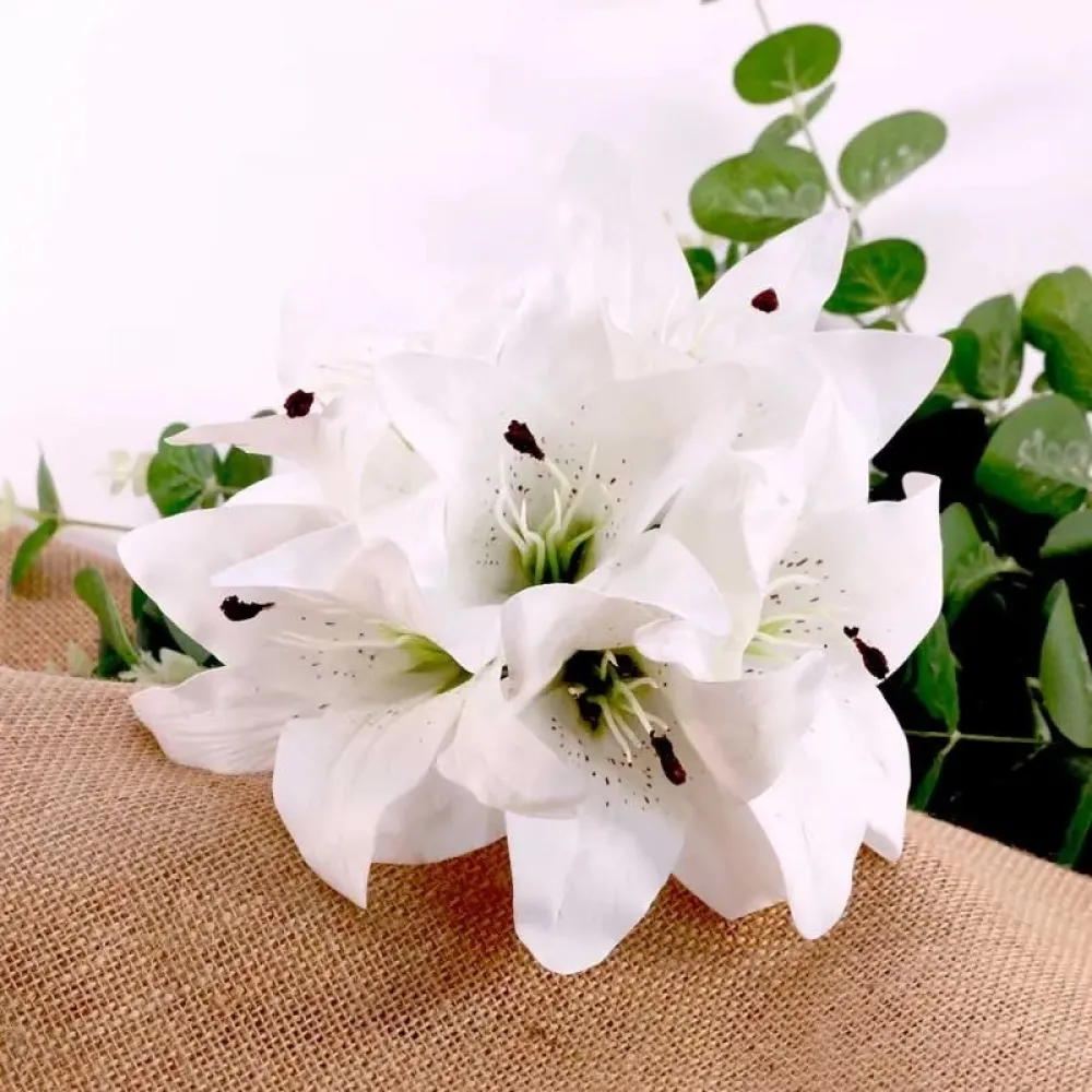 Buchet 6 Crini Albi 30cm
