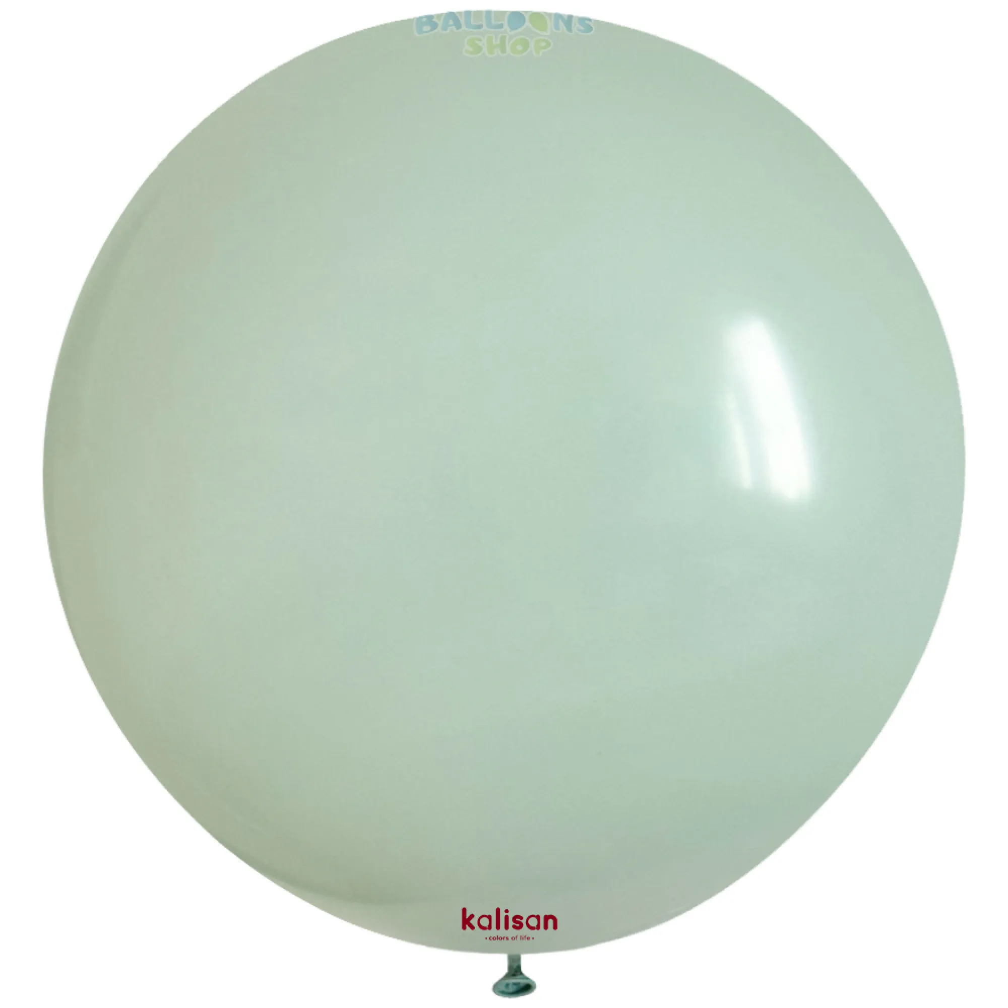 8007 Winter Green