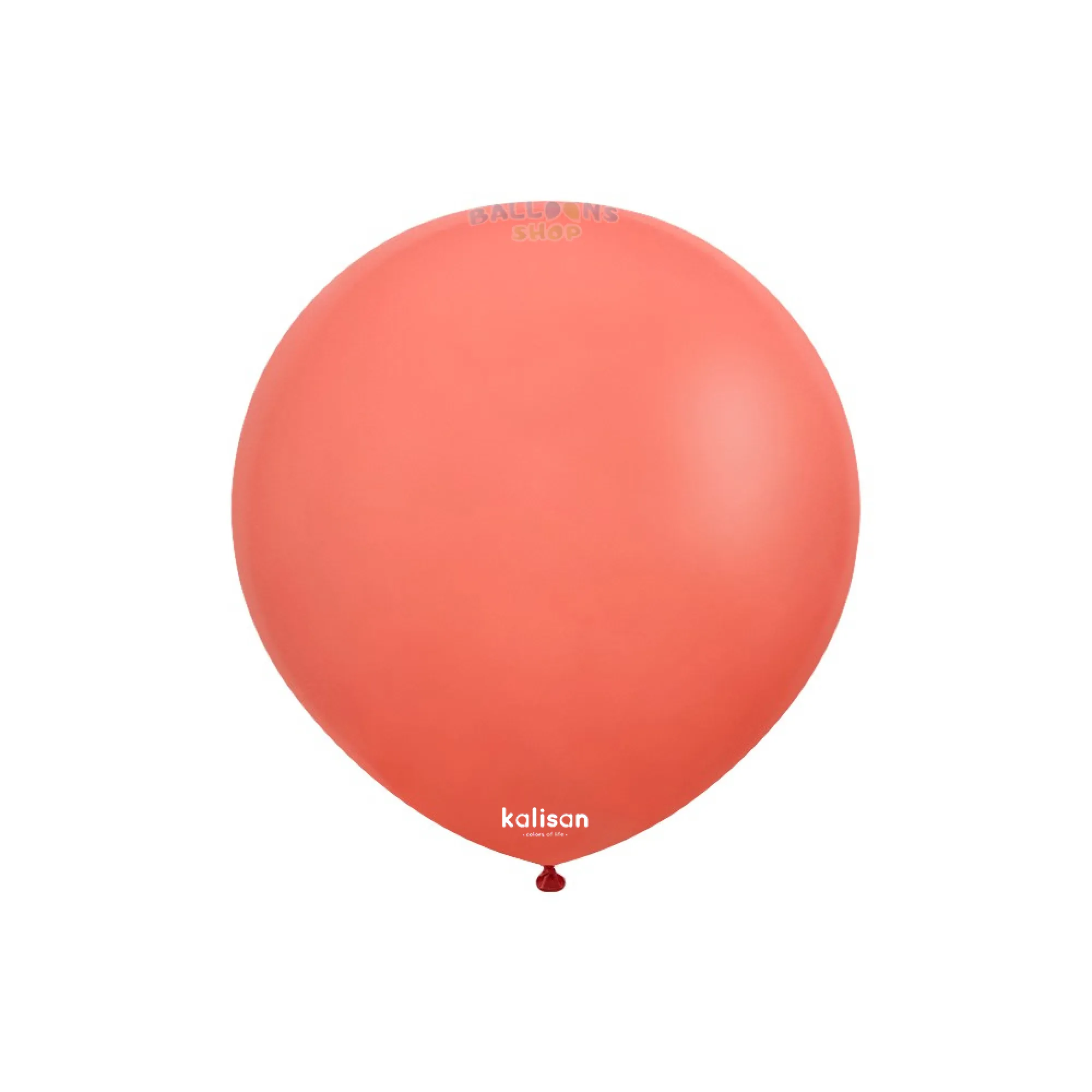 2341 Coral