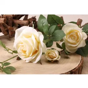 Fir 2 Trandafiri Cream