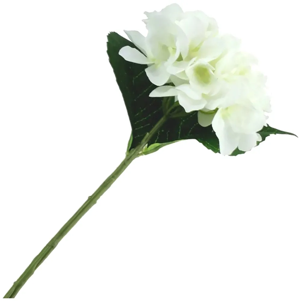 Fir Hortensie Ivory 34cm