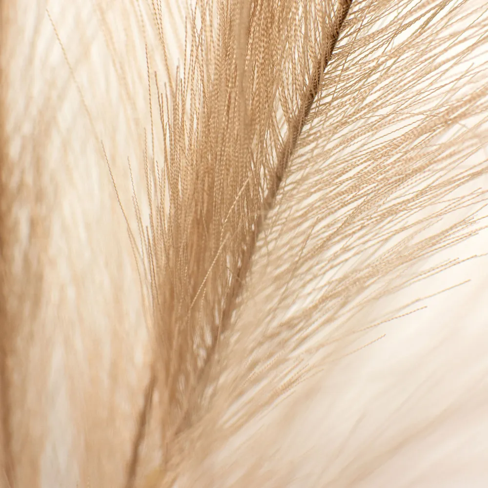 Fir Pampas natural de lux 110cm