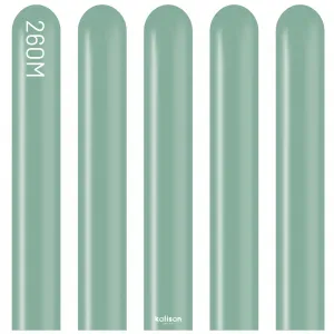 SET 50 Baloane Latex Modelaj Retro Sage Nozzle Up 260M 8006