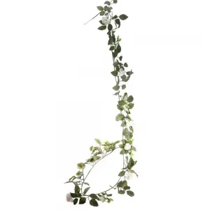 Ghirlanda trandafiri albi 180cm