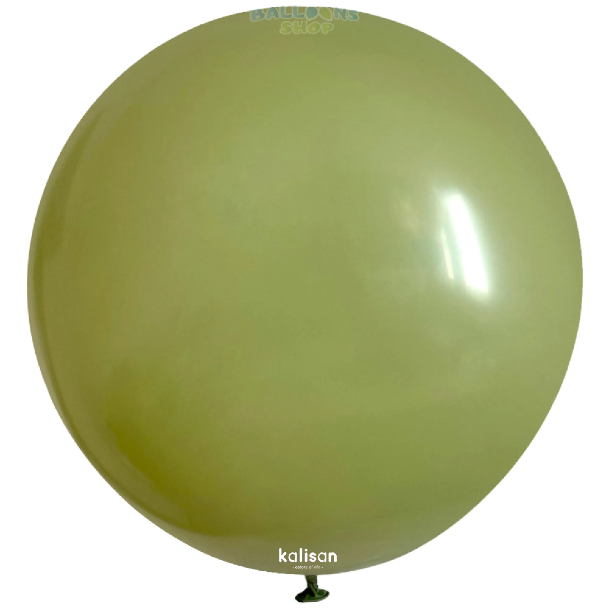 8008 Eucalypt